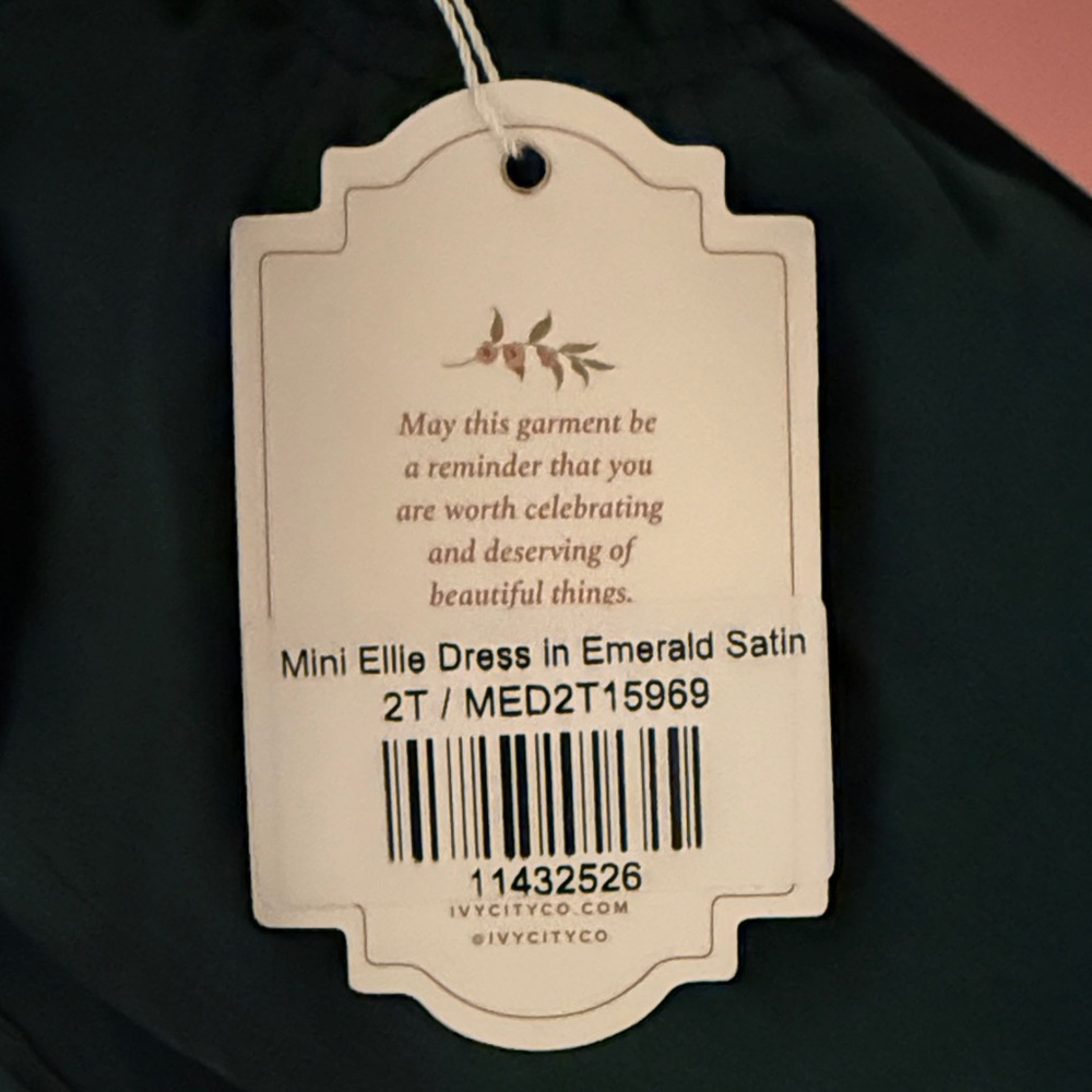 Ivy City Mini Ellie Dress in Emerald Satin 2T - Picture 11 of 11